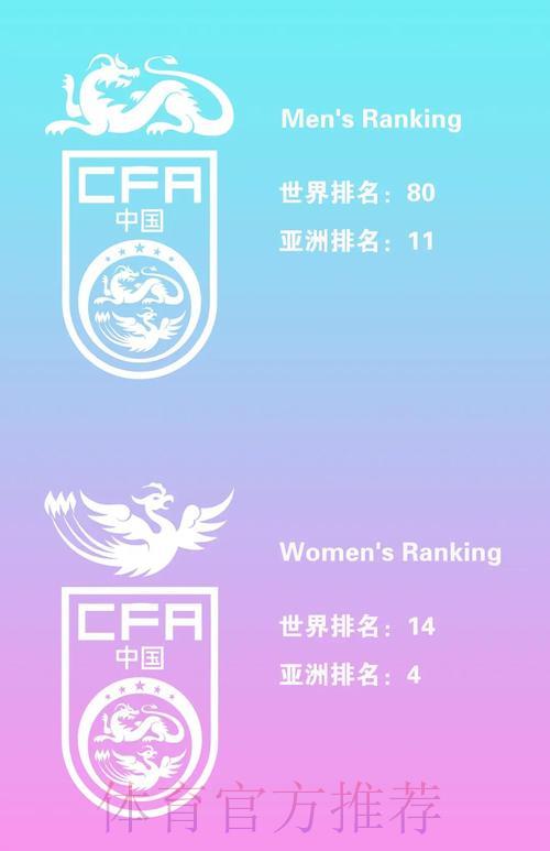 世界杯球队排名变化趋势深度解析